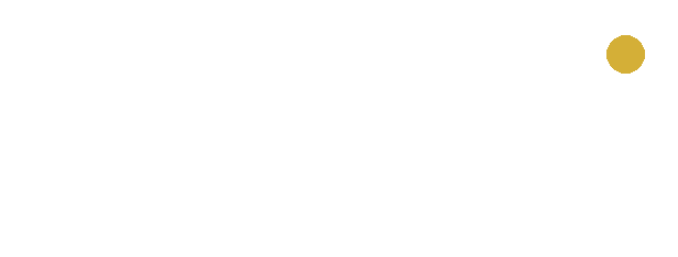 WEBU – Webdesign & AEO Agentur Österreich